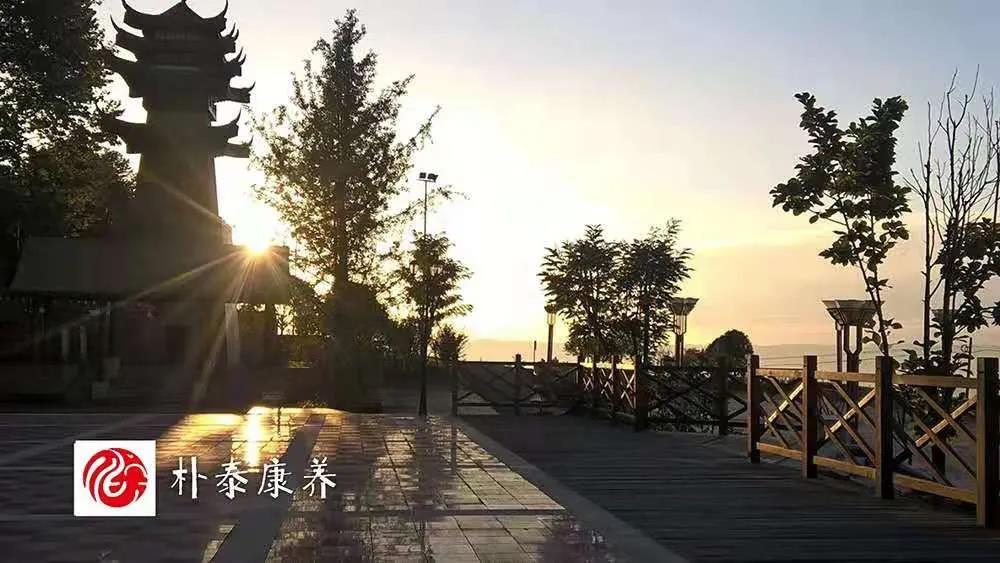 【天府康养】深耕养老市场 开发康养小镇(图7)