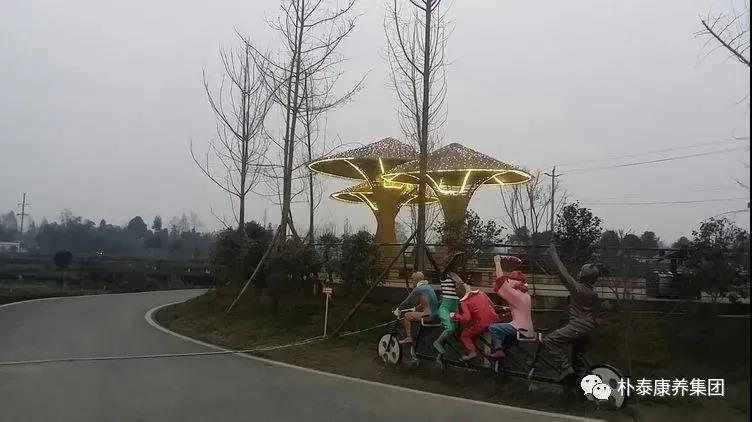 康养项目懂营运 全盘皆活共欢喜(图5)